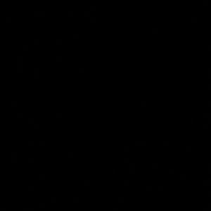 Meet your Posher, Hailey